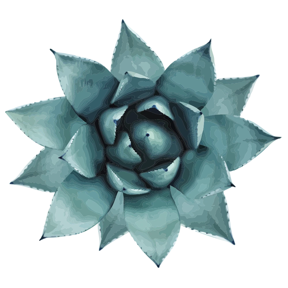 zen-logo